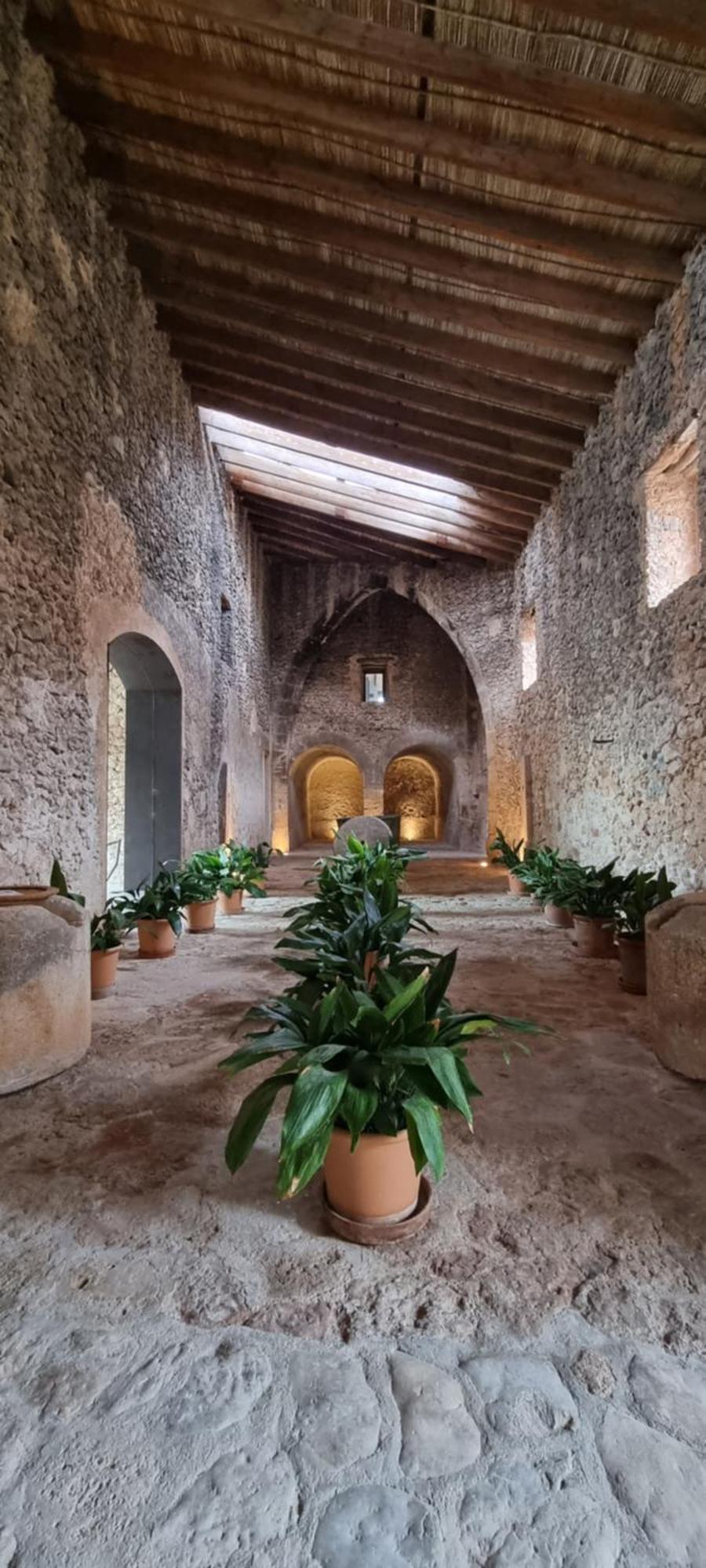 Finca Es Cabas Santa Maria del Cami (Mallorca) Exterior foto