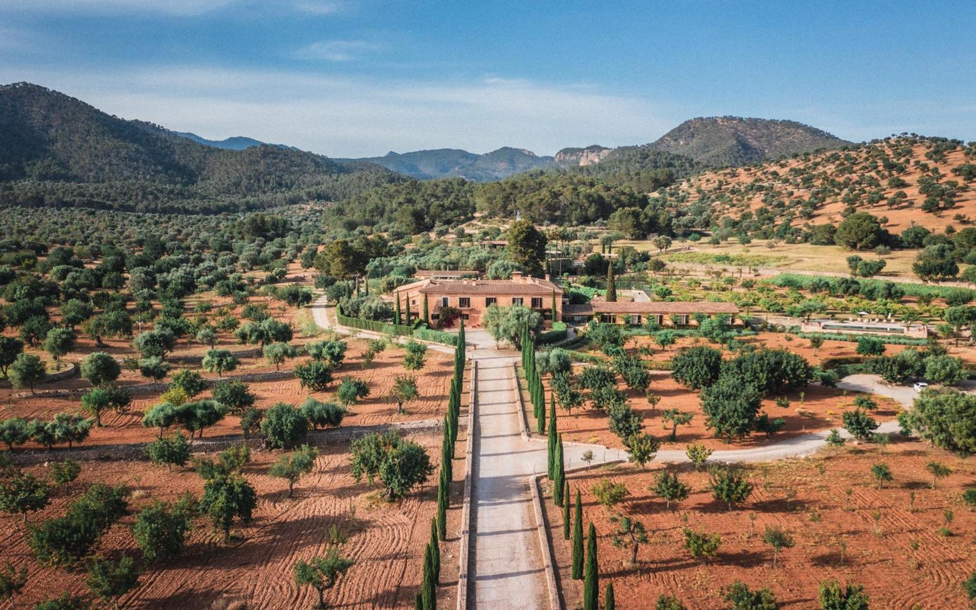 Finca Es Cabas Santa Maria del Cami (Mallorca) Exterior foto