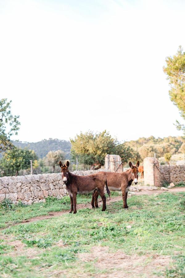 Finca Es Cabas Santa Maria del Cami (Mallorca) Exterior foto