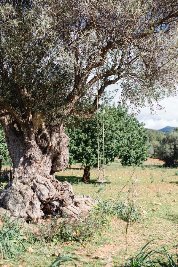 Finca Es Cabas Santa Maria del Cami (Mallorca) Exterior foto