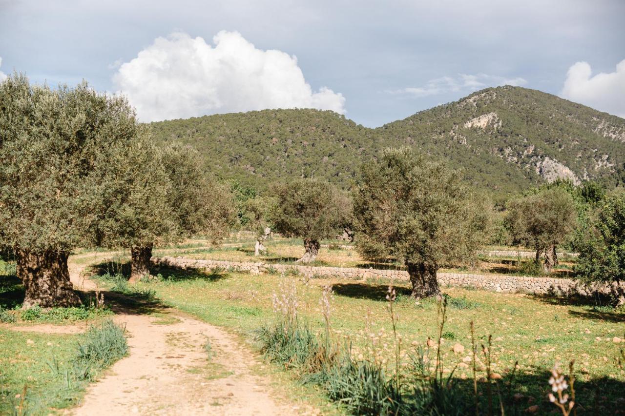Finca Es Cabas Santa Maria del Cami (Mallorca) Exterior foto